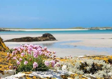 Wild Atlantic Stay Guest House Self-Catering Inverin Eksteriør bilde